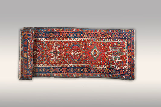 A Karaja Kazakh Caucasian Runner